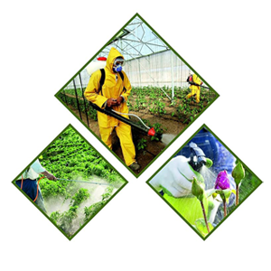 Agricultural Insecticides