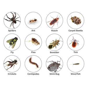 Residual Insecticides