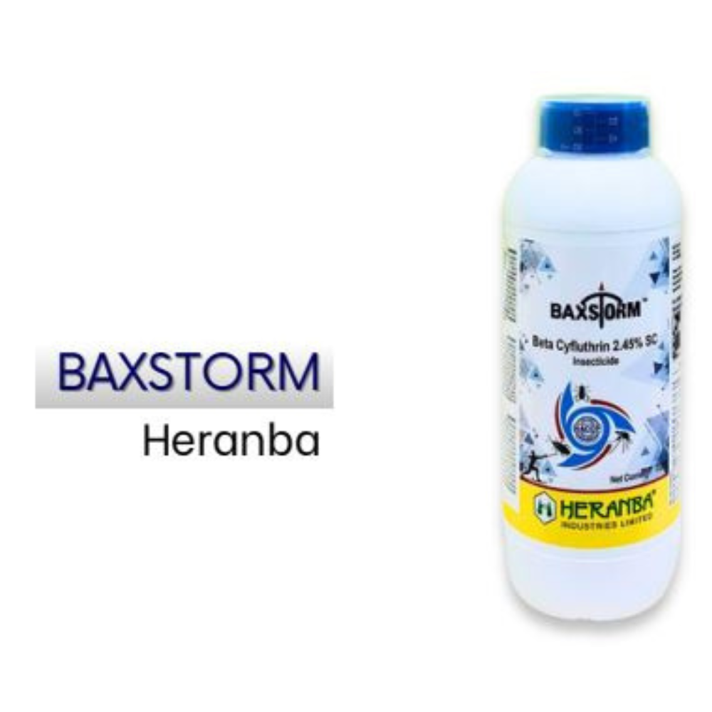 Baxstorm – Heranba