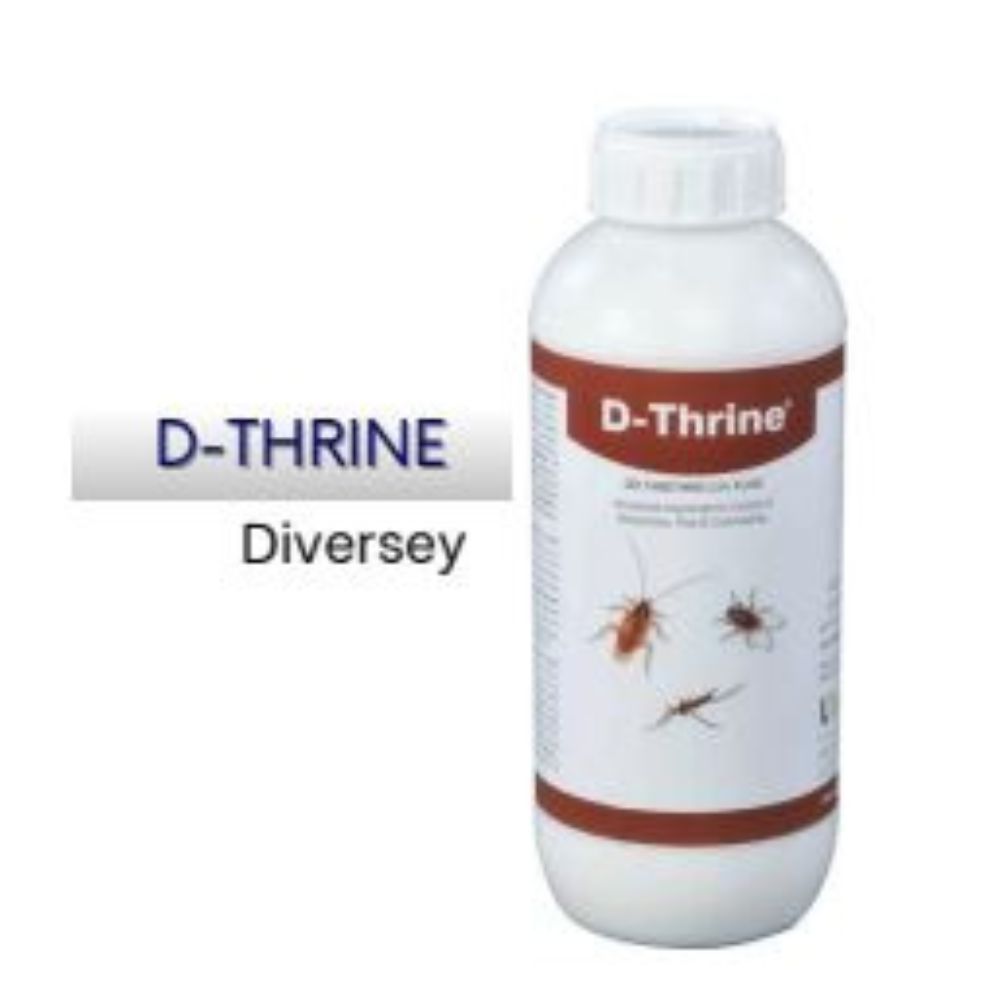 D-Thrine