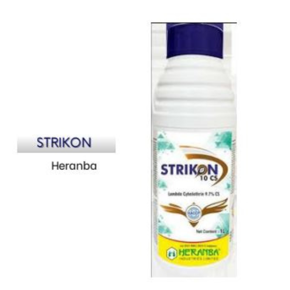 Strikon – Heranba